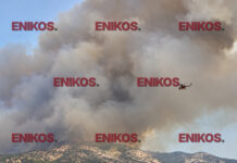 Εύβοια: Στη μάχη και 5 εναέρια μέσα για τη φωτιά στη Μακρυκάπα