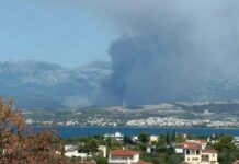 Βελτιωμένη η εικόνα της φωτιάς στη Μακρυκάπα Εύβοιας