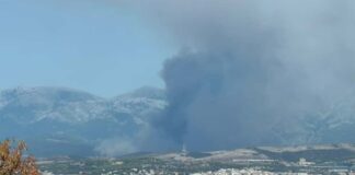 Βελτιωμένη η εικόνα της φωτιάς στη Μακρυκάπα Εύβοιας