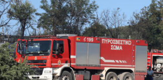 Πέλλα: Τραυματίστηκε 17χρονη σε δασική περιοχή στο Λουτράκι