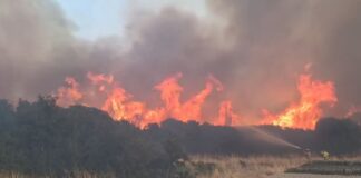 Δύο συλλήψεις για τη μεγάλη φωτιά στον Μύτικα – Ξεκίνησε από εργασίες σε φωτοβολταϊκό πάρκο