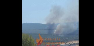Φωτιά σε χαμηλή βλάστηση στη Θήβα