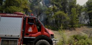Υψηλός κίνδυνος εκδήλωσης πυρκαγιάς σήμερα στη Χαλκιδική