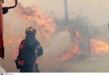 Συνολικά 42 αγροτοδασικές πυρκαγιές το τελευταίο 24ωρο