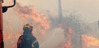 Συνολικά 42 αγροτοδασικές πυρκαγιές το τελευταίο 24ωρο