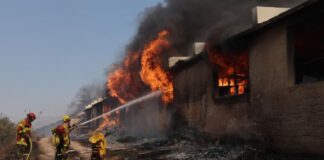 Πολύ υψηλός κίνδυνος πυρκαγιάς σήμερα σε Αττική και ακόμη 5 περιφέρειες
