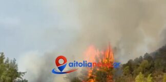 Μεσολόγγι: Φωτιά σε αγροτοδασική έκταση στην περιοχή Αγριλιά