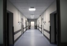 Χαλκιδική: Παιδί 5 ετών δέχτηκε επίθεση από άγριο ζώο στην περιοχή του Νέου Μαρμαρά