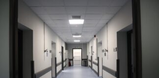 Χαλκιδική: Παιδί 5 ετών δέχτηκε επίθεση από άγριο ζώο στην περιοχή του Νέου Μαρμαρά