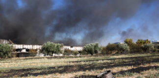 Οριοθετήθηκε η φωτιά στην Τανάγρα