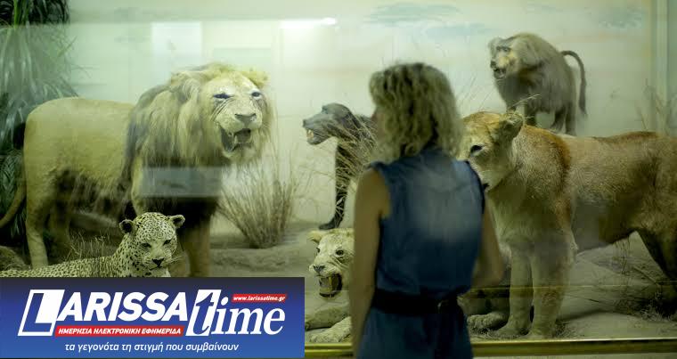 The Deer Film Club: Το KINO Athens και το T.A.F. / The Art Foundation παρουσιάζουν ένα νέο Film Club